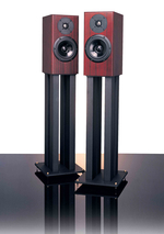 Totem acoustic Rainmaker